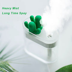 Cactus Diffuser and Humidifier